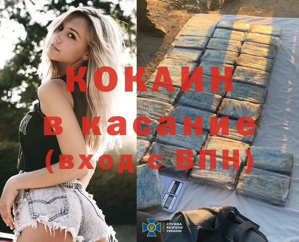 твердый Краснослободск