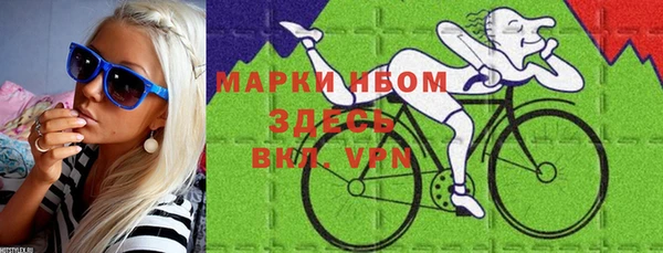 твердый Краснослободск