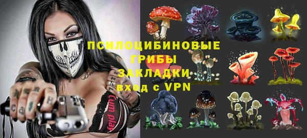 сатива Красноперекопск