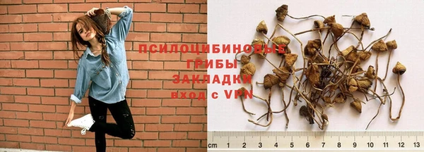сатива Красноперекопск