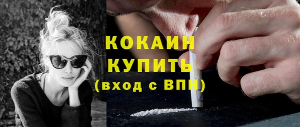 твердый Краснослободск
