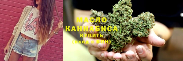 твердый Краснослободск